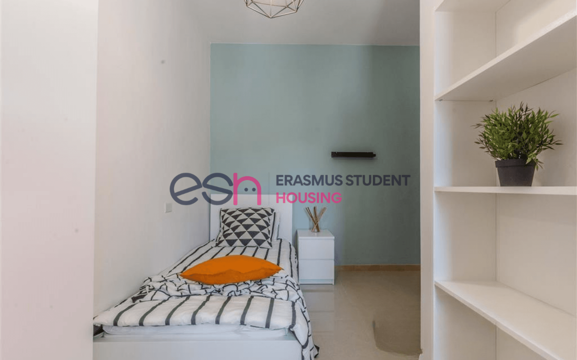 Habitación privada en Pisa