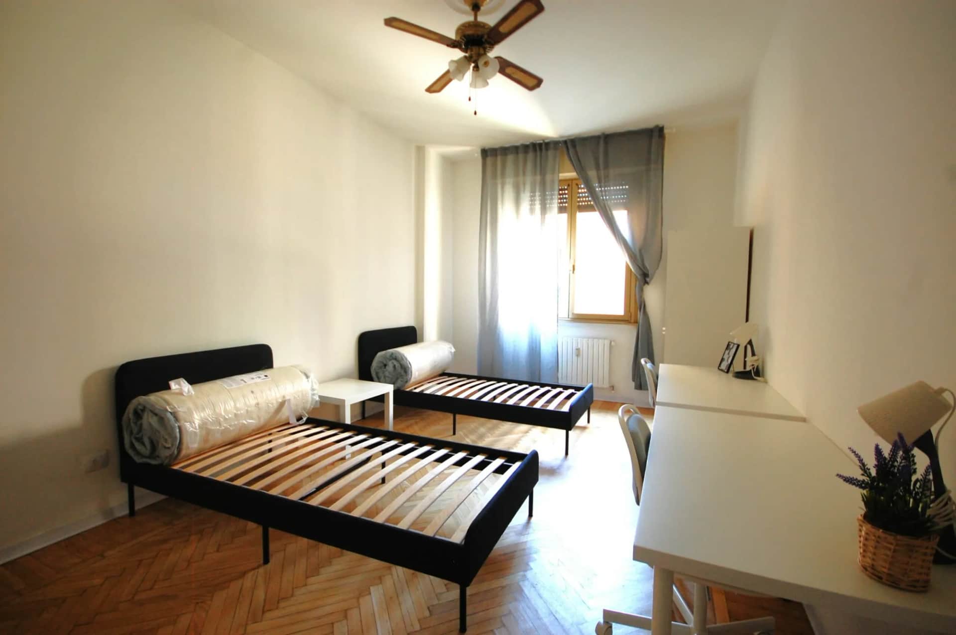 Shared room in Milan